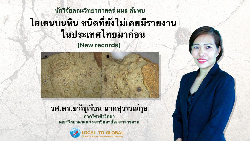 นักวิจัยคณะวิทยาศาสตร์ มมส ค้นพบ New Record ไลเคนบนหินในประเทศไทย